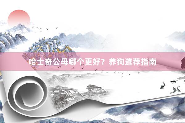 哈士奇公母哪个更好？养狗遴荐指南