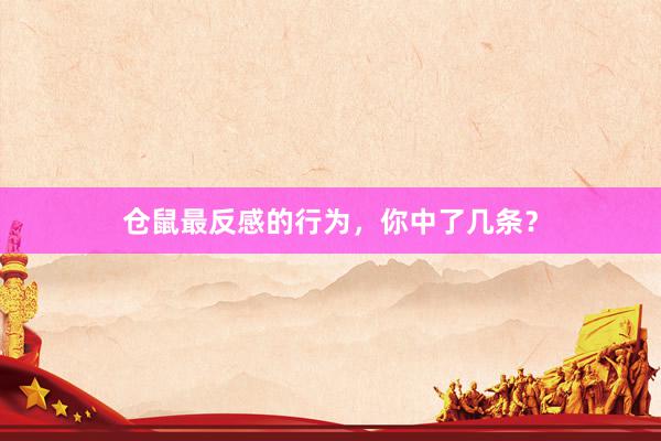 仓鼠最反感的行为，你中了几条？