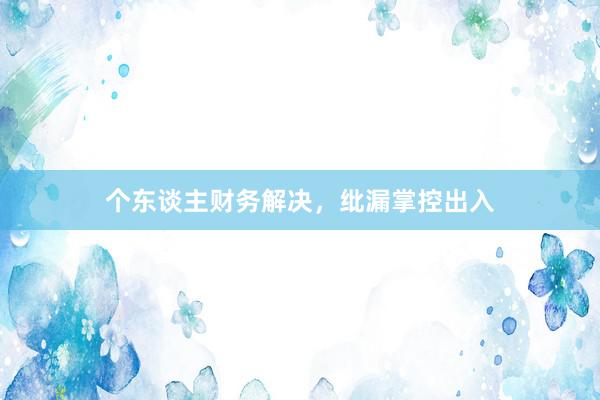 个东谈主财务解决,纰漏掌控出入